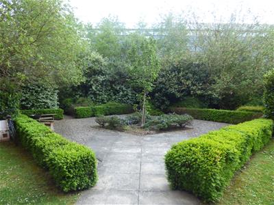 Picture 12